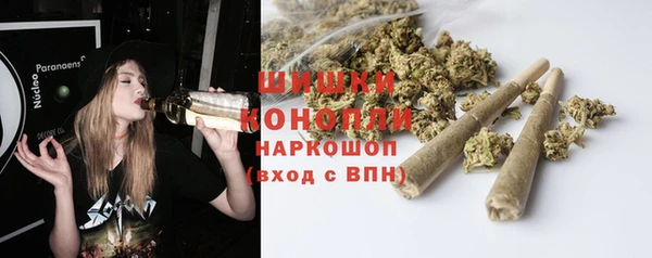 амф Арсеньев