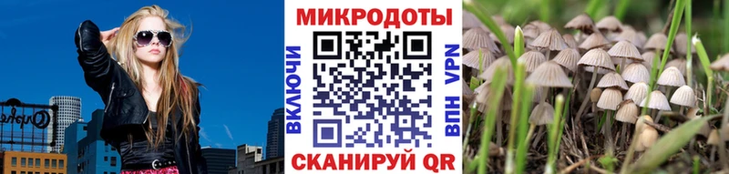 Галлюциногенные грибы MAGIC MUSHROOMS  маркетплейс телеграм  Георгиевск 