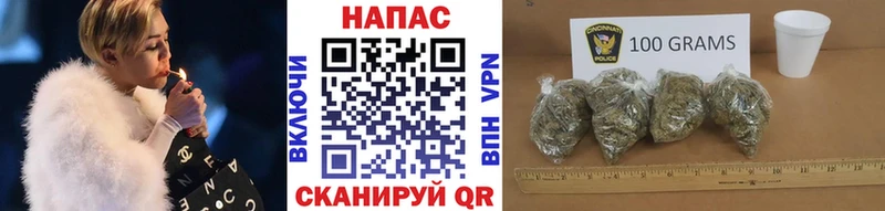 блэк спрут ссылки  Георгиевск  Шишки марихуана планчик 